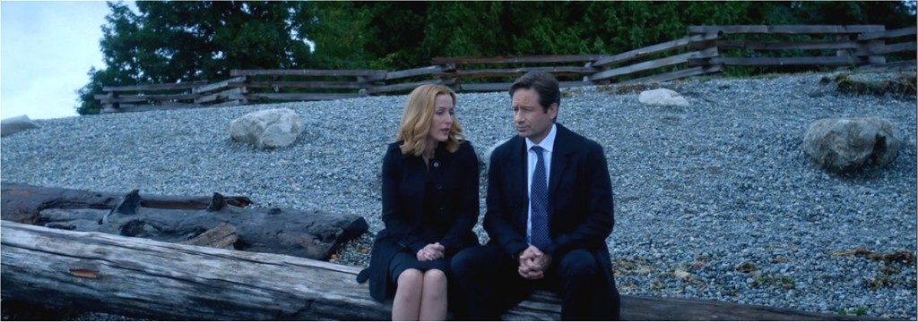 The X-Files, Season 10 Episode 4, Home Again, Dana Scully, Fox Mulder