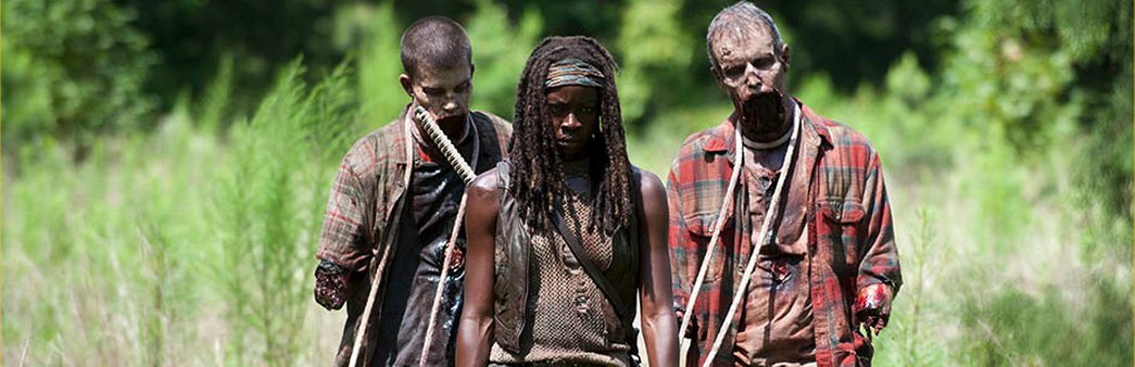 The Walking Dead, Season 4 Episode 9, After, Michonne