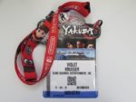 E3 2017 badge
